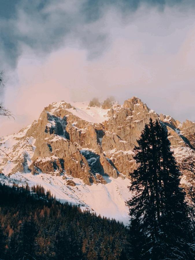 Villa Holzerjuwel - Minzlhof Ramsau Am Dachstein Exterior foto